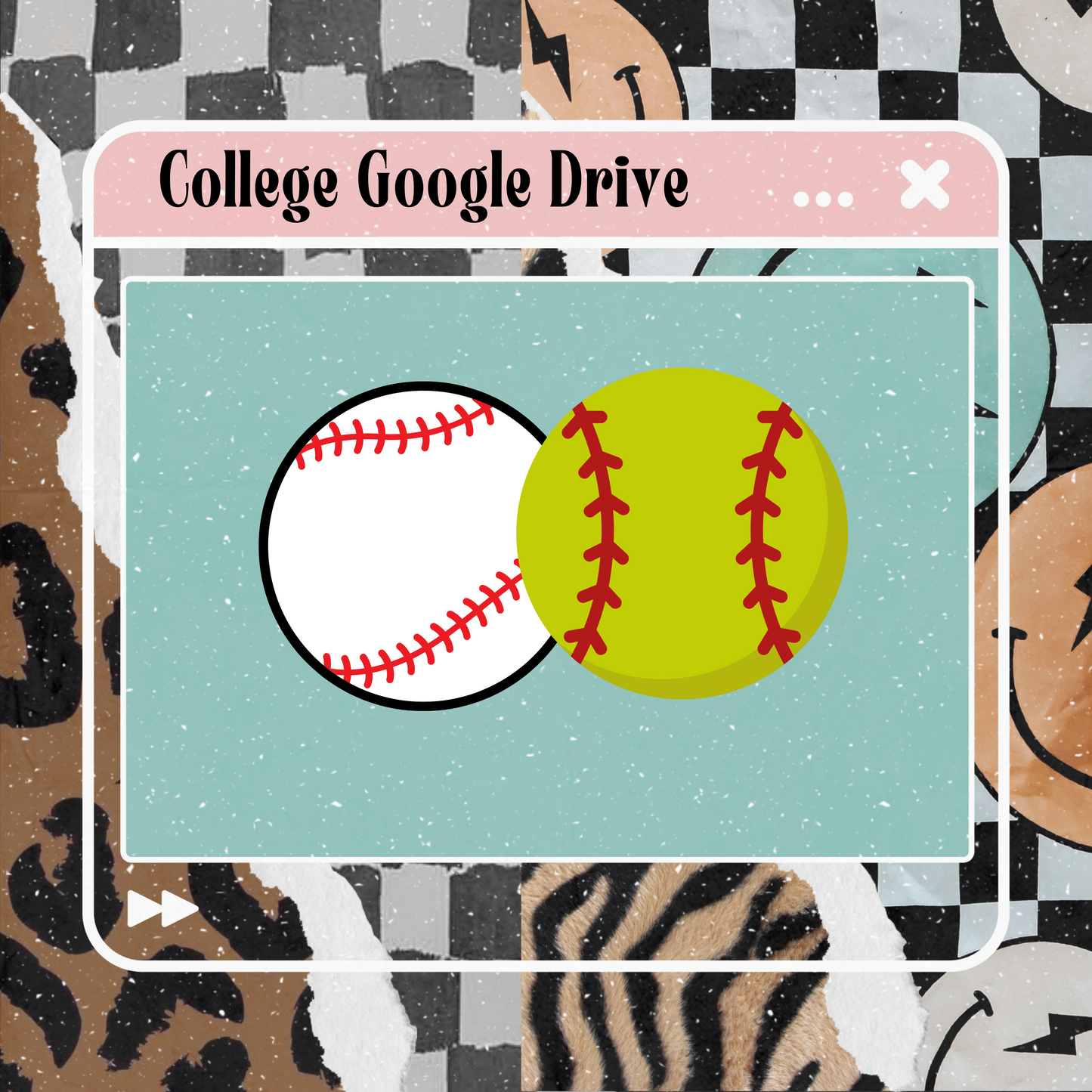 College State Collages